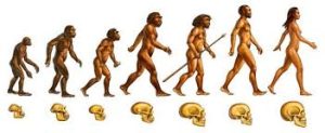 نظریه تکامل داروین - Darwin theory of evolution