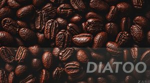 تفاوت ظاهری دانه قهوه عربیکا و روبوستا